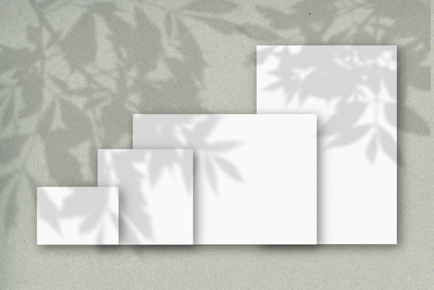 灰色の壁に対する白いテクスチャ紙のいくつかの水平と垂直シート。植物の影とモックアップオーバーレイ。木の葉から自然光が影を落とす. - 写真・画像