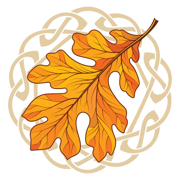 Oak leaf in autumn coloring and Celtic magic ornament, isolated on black, vector illustration - Vector, Image