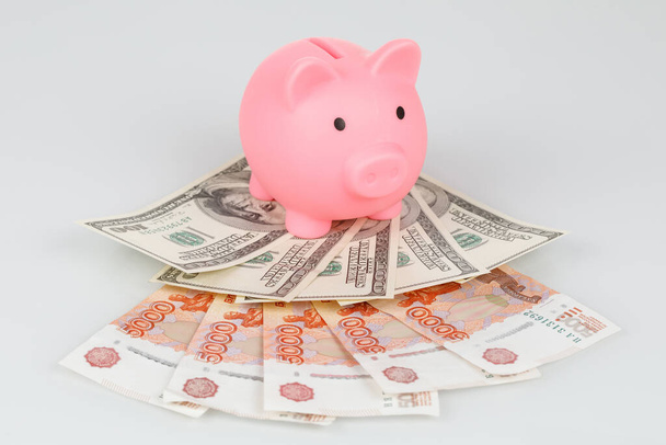 Pink piggy money box on pile of roubles and dollars, financial crisis concept - Фото, зображення