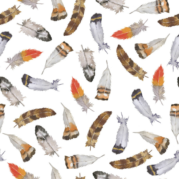 Seamless pattern with wild brown and orange bird feathers on white background. Hand drawn watercolor illustration. - Zdjęcie, obraz