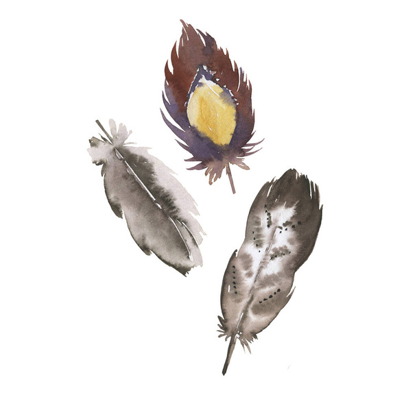 Set of bright wild bird feathers isolated on white background. Hand drawn watercolor illustration. - Foto, immagini