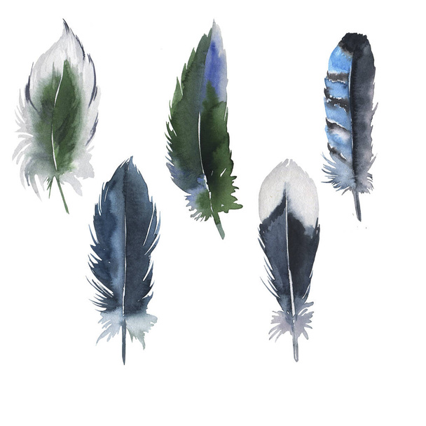 Set of green and blue wild bird feathers isolated on white background. Hand drawn watercolor illustration. - Fotoğraf, Görsel