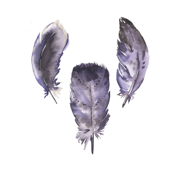 Set of violet wild bird feathers isolated on white background. Hand drawn watercolor illustration. - Foto, immagini