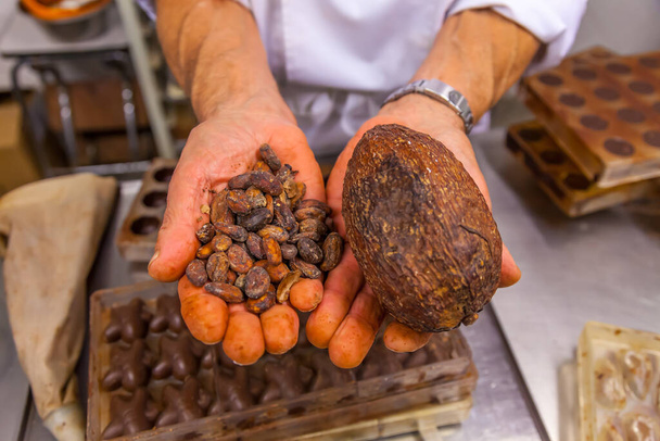 Cioccolatiere con baccello di cacao e fagioli di cacao in mano con stampi di cioccolato sullo sfondo. Dimostrazione del cioccolato
. - Foto, immagini