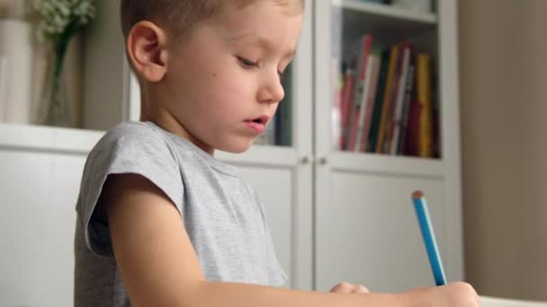Preschool boy toddler, holding pencil, drawing or doing homework at the table - Video