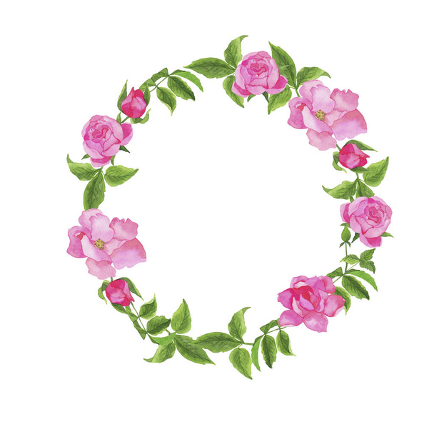 Beautiful garden rose flowers and leaves wreath isolated on white background. Hand drawn watercolor illustration. - Fotografie, Obrázek