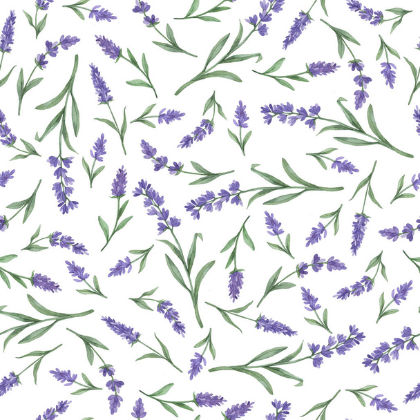 Seamless pattern with lilac lavender flowers on white background. Hand drawn watercolor illustration. - Foto, Imagem