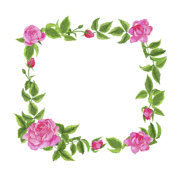 Beautiful garden rose flowers and leaves frame isolated on white background. Hand drawn watercolor illustration. - Foto, immagini