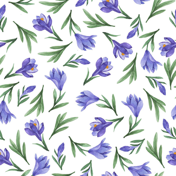 Seamless pattern with spring violet crocus flowers on white background. Hand drawn watercolor illustration. - Foto, Imagem