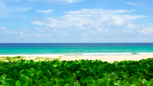 Ландшафтне узбережжя моря, Пхукет пляжного моря, вид пляжного моря на сонце влітку. У Karon Beach, Phuket, Таїланд. 4K UHD, Video Clip. - Кадри, відео