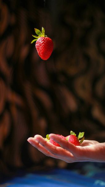 Strawberry in hand, Flying strawberry in dark background, hand with strawberry in dark background - Photo, Image
