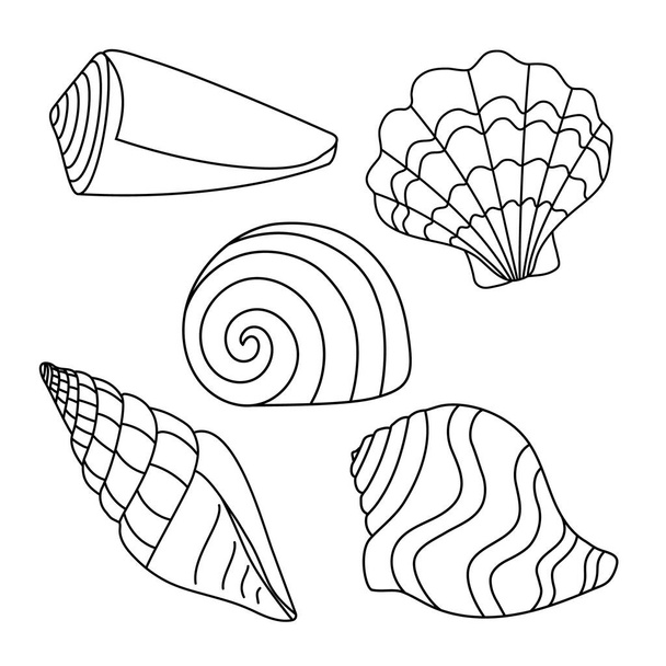 Ilustração vetorial. Conjunto com silhuetas simples shell. Desenho de linhas pretas em um fundo branco, Doodle
.  - Vetor, Imagem