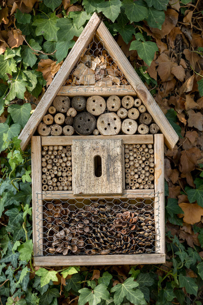 Маленький дерев'яний будинок для комах в саду
 - Фото, зображення