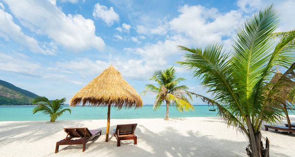 熱帯諸国での休暇。ビーチチェア、傘、ヤシの木。バナー版. - 写真・画像