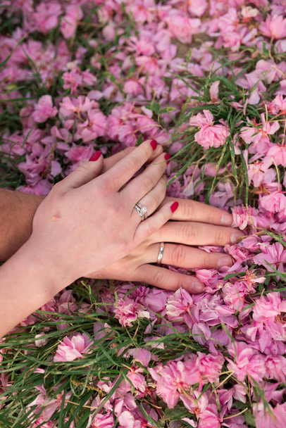 Hands of the bride and groom with engagement rings lie on sakura petals - Fotoğraf, Görsel
