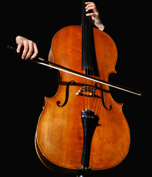 Cello on black - Фото, зображення