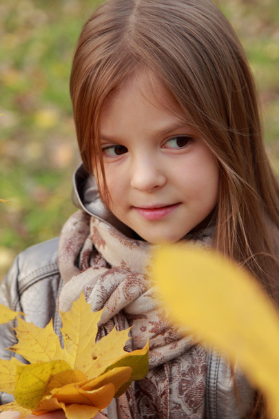 Little girl at autumn park - 写真・画像