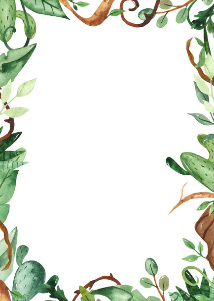 Φυτά, φύλλα, κάκτοι, αμπέλια. Χειροποίητο πλαίσιο ζούγκλας με ακουαρέλα - Φωτογραφία, εικόνα