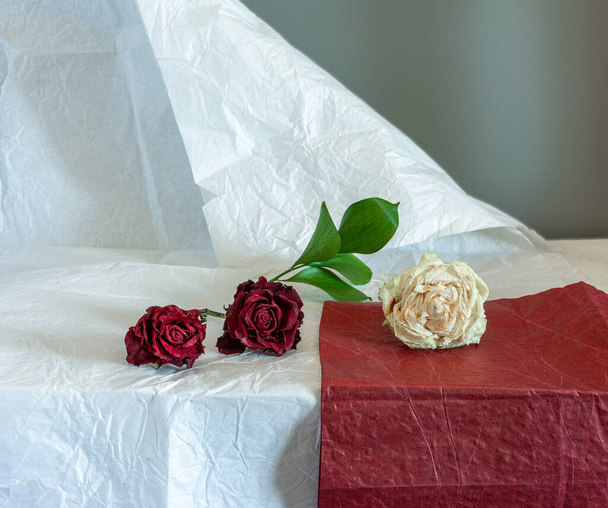 Bodegón con rosas sobre un papel. Vintage. Minimalismo
. - Foto, Imagen