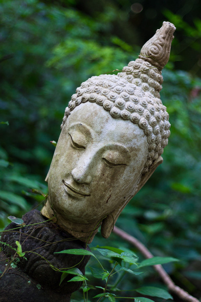 Buddha head In Wat Umong Chiangmai - Fotoğraf, Görsel