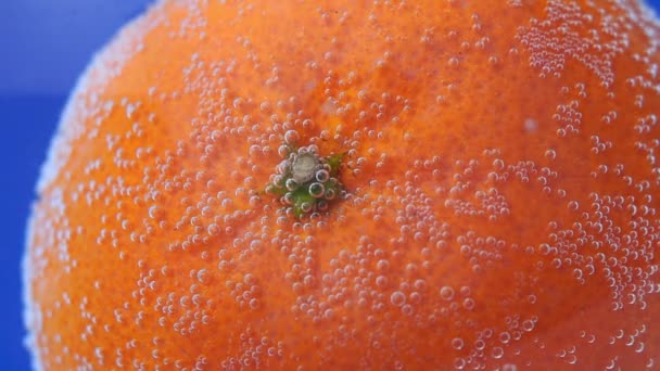 close-up mandarijnenfruit, achtergrond in water, onder water. achtergrond, textuur. selectieve focus - Video