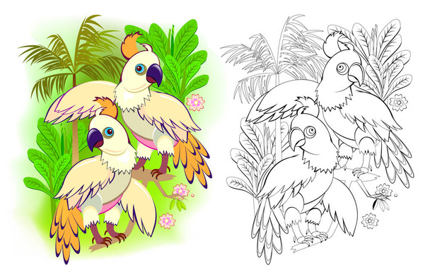 Fantasy illustration of couple of romantic cockatoo parrots. Colorful and black and white page for coloring book. Tropical birds. Printable worksheet for children textbook. Flat vector cartoon image. - Vettoriali, immagini