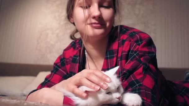 young girl is stroking a fluffy cat lying on the sofa. selective focus. Pets animals - Footage, Video