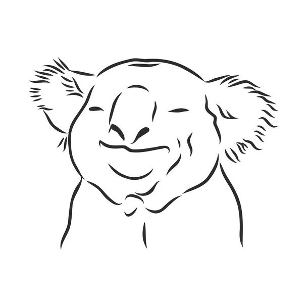 Cabeza de bosquejo de mano koala. Ilustración vectorial
 - Vector, Imagen