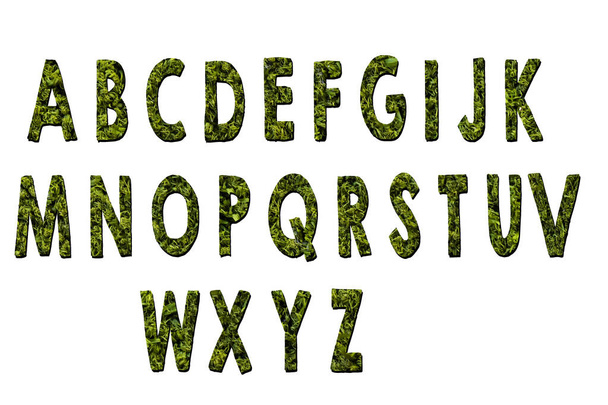 Lettres alphabet latin à base d'herbe sur blanc
 - Photo, image