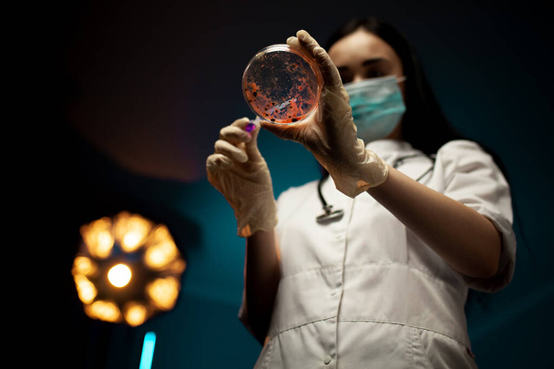 Laboratory worker pipetting blood sample into Petri dish for analysis - Foto, immagini
