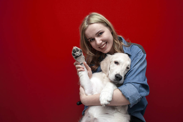 white golden retriever gives a paw to the hostess on a red background, a young beautiful girl holds a puppy and teaches teams, funny pets - Fotó, kép