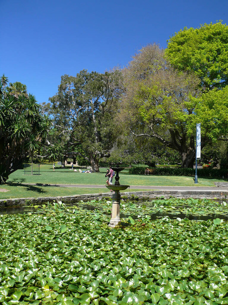 Una sezione del Royal Botanic Gardens di Sydney, Australia
 - Foto, immagini