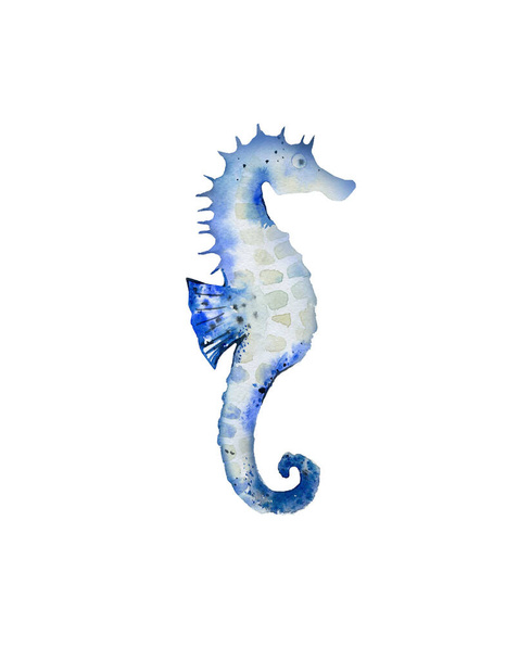 Blue starfish. Sea creature. Ocean life. Watercolour illustration isolated on white background.  - Photo, Image