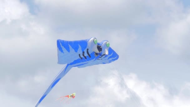 Stingray Shaped Kite Fly in the Air - Кадри, відео