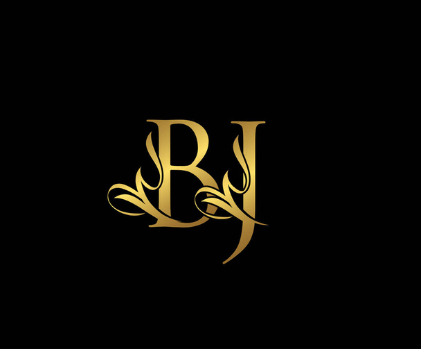 Vintage Letter BJ Květinové zlato ručně kreslené logo Design - Vektor, obrázek