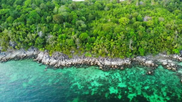 Bereketli ormanı ve turkuaz suyu olan tropikal bir adanın hava aracı görüntüsü - Video, Çekim