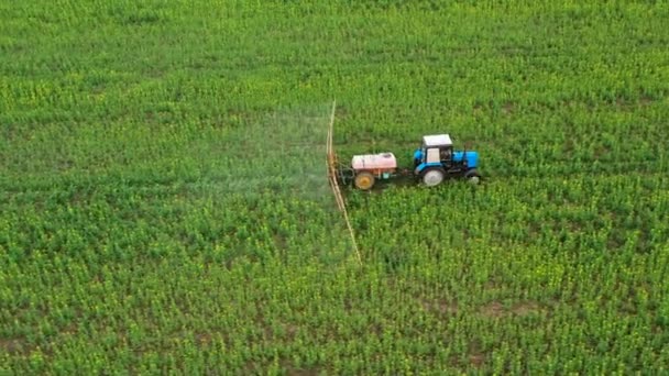 Widok z lotu ptaka z ciągnika nawozy natryskowe na rośliny rolnicze na polu rzepaku - Materiał filmowy, wideo