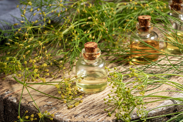 Una botella de aceite de semilla de eneldo con flor Anethum graveolens planta
 - Foto, Imagen