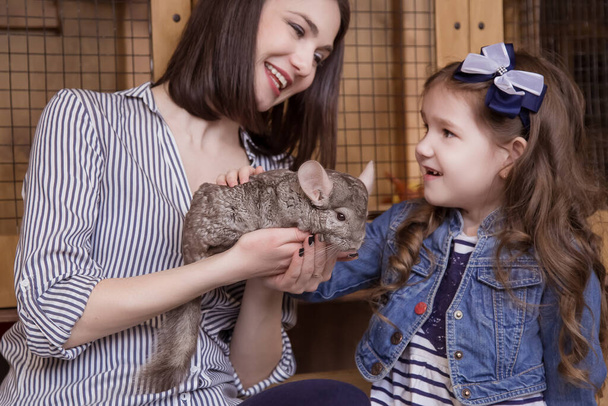 Family, mom and daughter are holding and stroking the gray chinchilla. Contact zoo. - Photo, Image