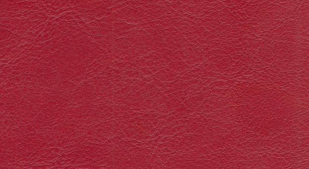 red leather texture background , copy space pattern - Photo, Image