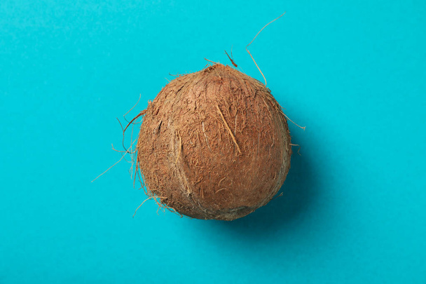 Whole coconut on blue background, top view - Photo, Image