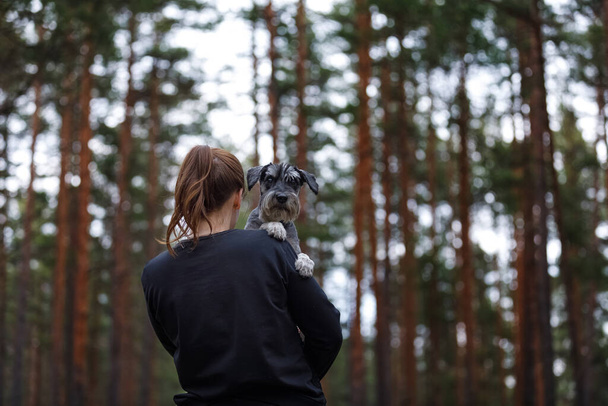 Girl with dog. schnauzer on his hands - Φωτογραφία, εικόνα