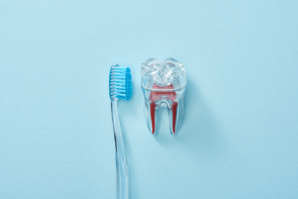 Bovenaanzicht van kunststof tandenborstel en kunstmatige transparante kunststof tand op blauwe achtergrond - Foto, afbeelding