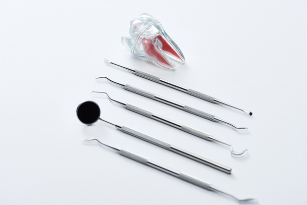High angle view of professional dental tools and artificial plastic tooth on grey background - Photo, Image