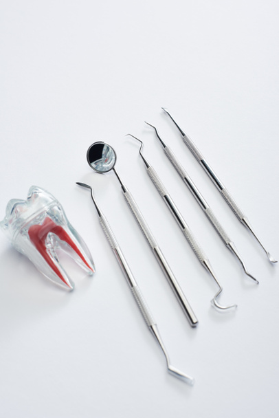 High angle view of dental equipment tools and artificial plastic tooth on grey background - Foto, afbeelding