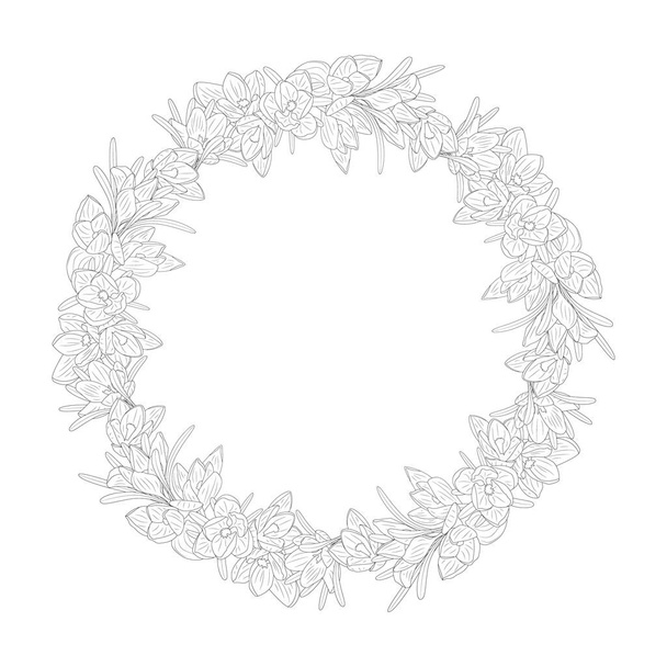 Kézzel rajzolt monokróm crocus virágok kerek koszorúk. Virágos design elem. Elszigetelve, fehér háttérrel. Vektorillusztráció - Vektor, kép