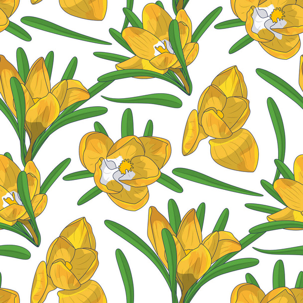 Hand drawn yellow crocus flowers seamless floral pattern. Vector illustration - Vector, Image