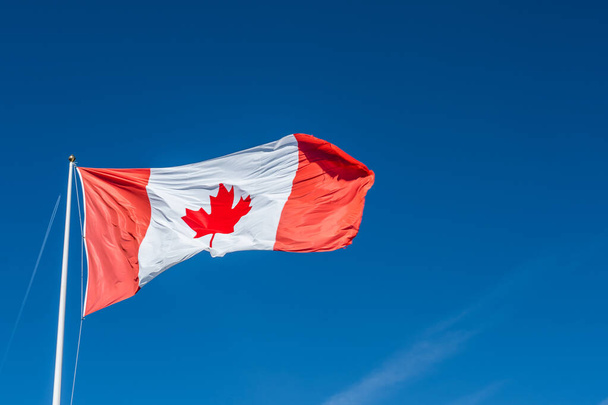 Canada Flag on Blue sky - Фото, изображение