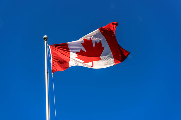 close-up shot of Flag of Canada in front of Blue sky - Фото, изображение