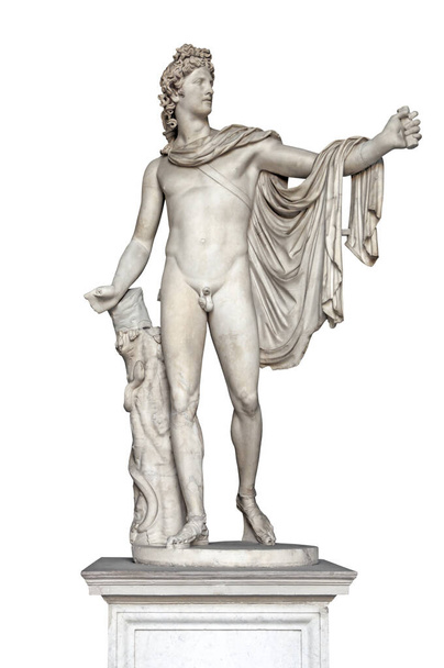 Передній вид давньої статуї Аполлона Бельведера ізольований на білому тлі. Антична грецька міфологія та мармурове мистецтво  - Фото, зображення